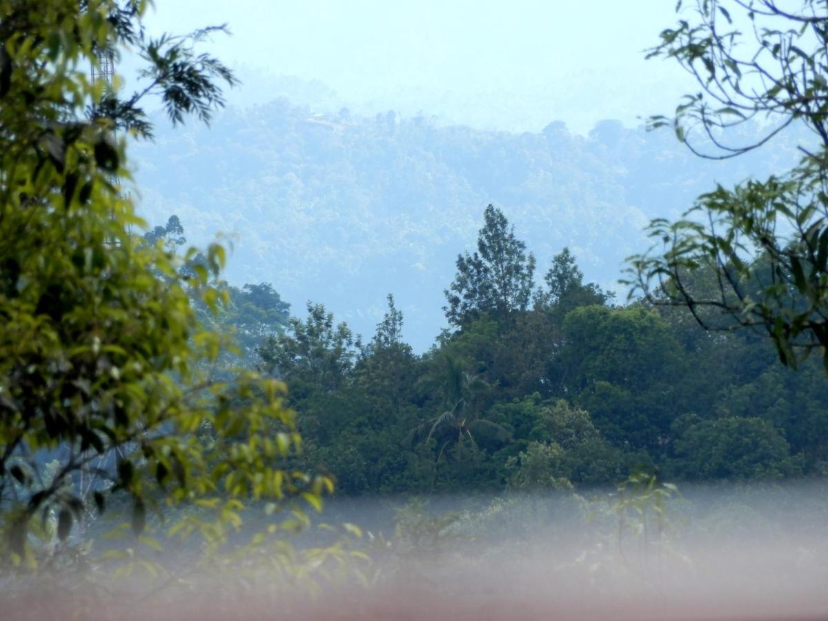 Drizzle Valley Cottage Munnar Exterior foto